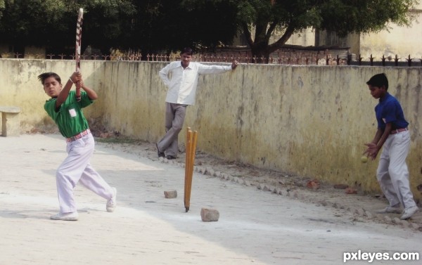 The Street Cricket